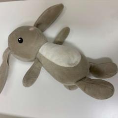 Xoguete plyš, segundo informou IKEA Praha – Černý Most usando iLost