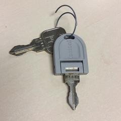 Chave Zilver/grijs, como reportado por Haaglanden Medisch Centrum utilizando o iLost