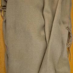 숄, iLost를 사용하여 Mauritshuis Den Haag에 보고됨