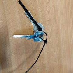 Sleutels がiLostで TU/e - Receptie Neuron によって報告されました