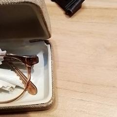 النظارات In koker، كما تم الإبلاغ عنه بواسطة Beekse Bergen Resorts en Hotel عبر iLost