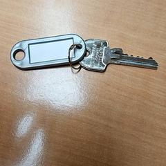 Sleutel, zgłoszono przez Gemeente Zutphen przy użyciu iLost