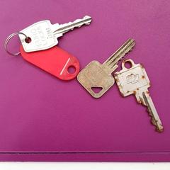 Klíče, jak nahlášeno Gemeente Oost Gelre pomocí iLost