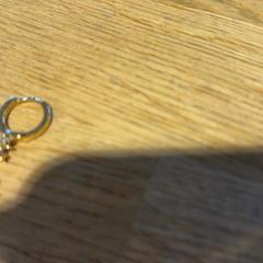 Örhänge, rapporterat av Designer Outlet Roermond med iLost