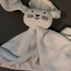 Knuffel, som rapportert av Diergaarde Blijdorp ved bruk av iLost