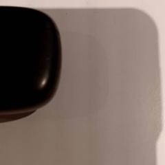 Earpods, as reported by De Efteling using iLost