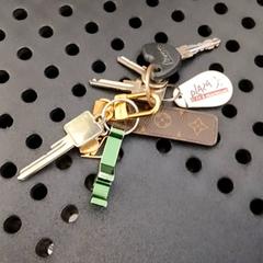 Clau, segons ha informat Arriva Infoshop Enschede mitjançant iLost