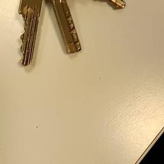 Keys, as reported by U-OV Amersfoort using iLost