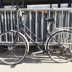 Damcykel Trek trekking paars, rapporterat av Fietsdepot med iLost