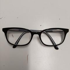 النظارات، كما تم الإبلاغ عنه بواسطة Avonturenpark Hellendoorn عبر iLost