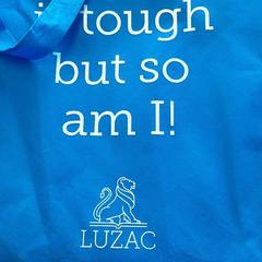 Sac à main, a été signalé par Blauwnet Zwolle utilisant iLost