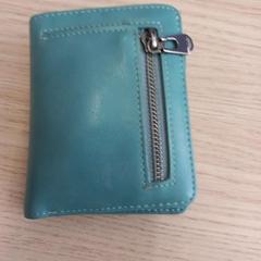 Peněženka Eyre, jak nahlášeno Arriva West-Brabant pomocí iLost