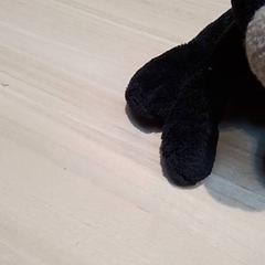 Peluche, ha sido reportado por Beekse Bergen Resorts en Hotel con iLost