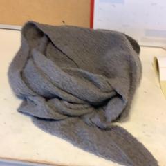 Châle, a été signalé par Artis utilisant iLost