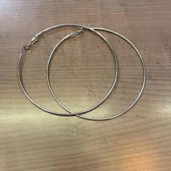 Øredobber, som rapportert av Pathé Arnhem ved bruk av iLost