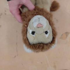 Joguina, segons ha informat IKEA Reims Thillois mitjançant iLost