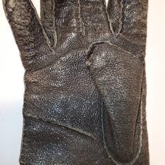 Glove bruin, as reported by Qbuzz DMG using iLost