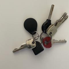 Sleutelbos met goegangsbadge, gerapporteerd met iLost