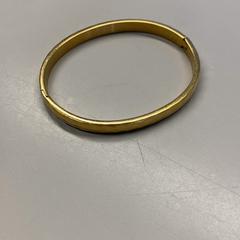 ブレスレット Goud がiLostで Burgers' Zoo によって報告されました