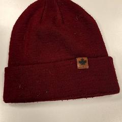Beanie, jak nahlášeno Vrije Universiteit Amsterdam pomocí iLost