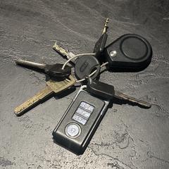 Sleutelbos an iLost gemeldet