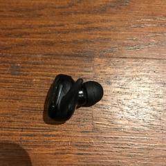 Oortje, zoals gemeld door Attractie- & Vakantiepark Slagharen met iLost