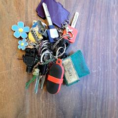 Claus, segons ha informat Connexxion Haarlem IJmond mitjançant iLost