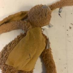 Knuffel, zoals gemeld door Artis met iLost