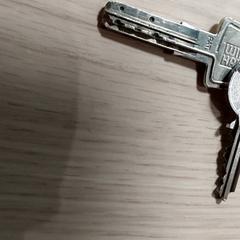 Klíče sleutels, jak nahlášeno Centraal magazijn pomocí iLost