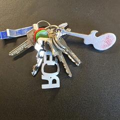 Sleutelbos, jak zgłoszono do iLost