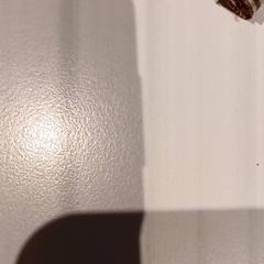 Dětská vesta, jak nahlášeno De Efteling pomocí iLost