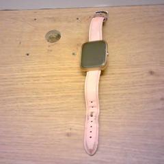 スマートウォッチ roze bandje がiLostで Bobbejaanland によって報告されました
