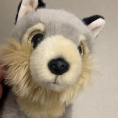 İLost kullanarak Pathé Ypenburg tarafından bildirildiği gibi Sevimli oyuncak