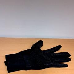 Glove, as reported by Keolis Lund using iLost