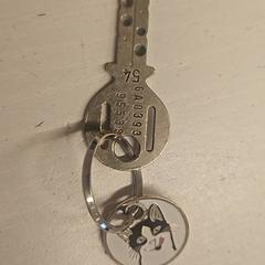 المفاتيح (متنوعة)، كما تم الإبلاغ عنه بواسطة GVB عبر iLost