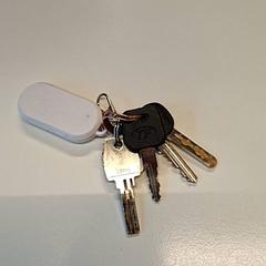 İLost kullanarak Gemeente Hilversum tarafından bildirildiği gibi Anahtar & Anahtarlık Met afstandbediening