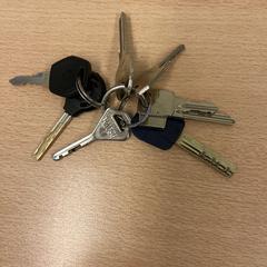 Sleutelbos met 8 sleutels, jak bylo nahlášeno na iLost