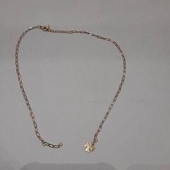 Pegar Gold, segundo informou Van der Valk Hotel Schiphol usando iLost