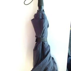 Parapluie Parzpl, a été signalé par Twisto utilisant iLost