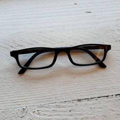 Bicchieri, come riportato da DierenPark Amersfoort utilizzando iLost