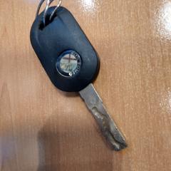 Autosleutel, rapporterat av Politiezone Rivierenland med iLost