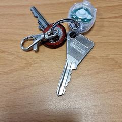 열쇠, iLost를 사용하여 Gemeente Roermond에 보고됨