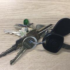 Keychain, as reported by Gemeente Arnhem using iLost