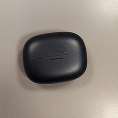 Ratolí, segons ha informat Vrije Universiteit Amsterdam mitjançant iLost