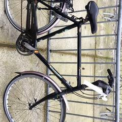 Bicicleta femenina Gazelle, segons ha informat Stadswerk072 mitjançant iLost