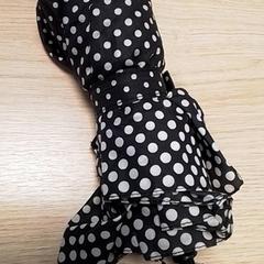 Paraigües, segons ha informat Qbuzz Fryslân mitjançant iLost