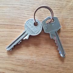 Sleutelbos met 2 sleutels, som rapporterats till iLost