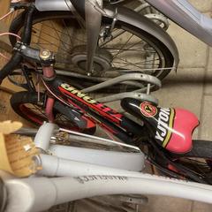 Fiets Kinderfiets Ermelo 29-9-2025, segons s'ha informat a iLost