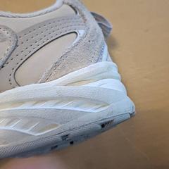 Sneaker, as reported by Avonturenboerderij Molenwaard using iLost