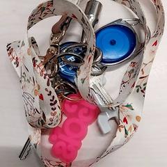 Kulcstartó, amint azt Arriva Limburg Zuid az iLost segítségével jelentette.